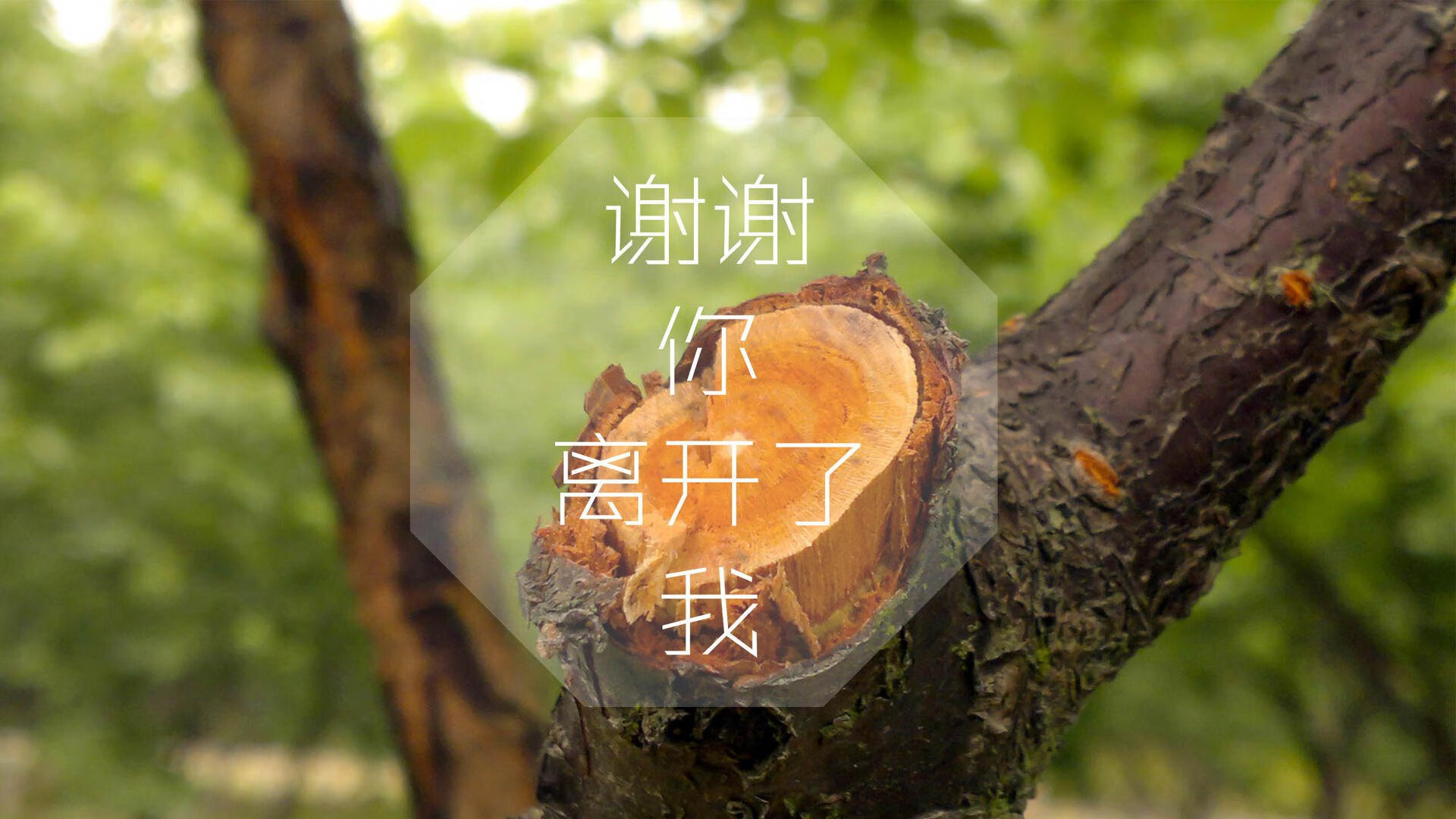 b体育网站注册-球场外的故事：运动员的生活点滴和成长经历，描写球场上运动员风采