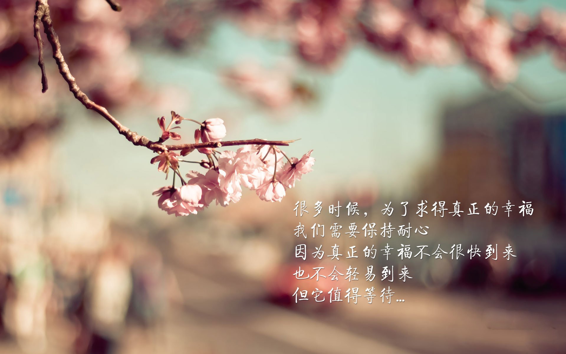 篮球专项技能训练课程体系优化研究，篮球专项技能展示