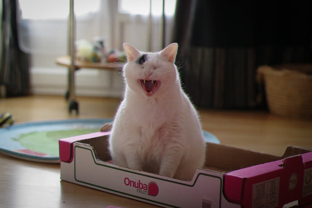 职业联赛整体节奏偏慢问题突出，职业联赛定义