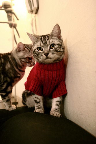 B体育APP下载网址-青少年足球科技创新示范基地在多国设立，推动行业创新升级，青少年足球训练中心