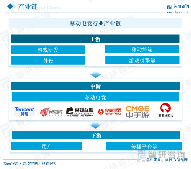 关于b体育下载:电竞产业的发展：2025年预测与展望的信息